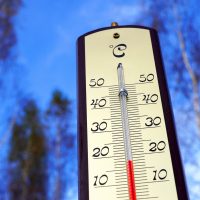 ANM: Cel mai călduros final de ianuarie din ultimii 65 de ani. Silviu Grigore, meteorolog: Încă suntem în ianuarie și noi vorbim de temperaturi de luna mai | AUDIO