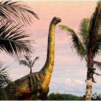 2 noi specii de dinozauri au fost descoperite în bazinul Hațeg | AUDIO | FOTO