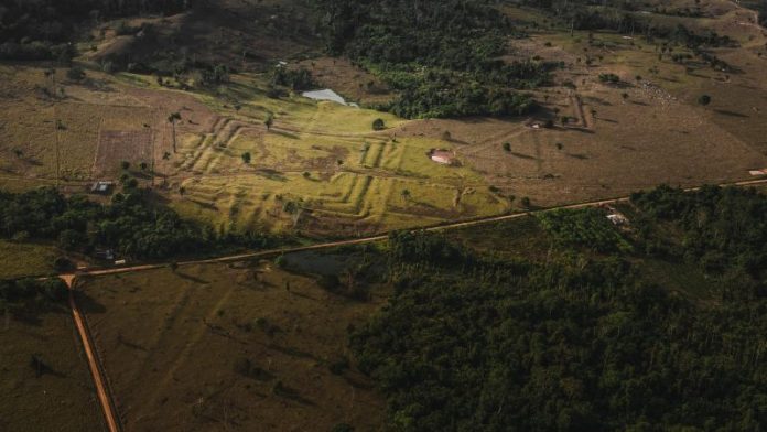 Civilizații pierdute din Amazon, descoperite cu ajutorul tehnologiei moderne. Ce ar avea în comun cu mayașii din Mexic și Guatemala