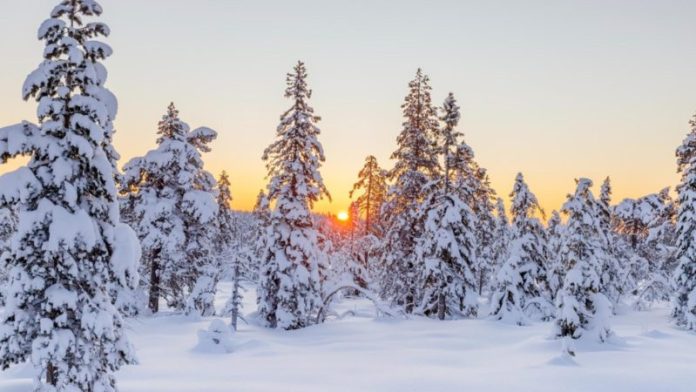 Sunt anunţate ninsori chiar şi în aprilie, în România. Locul în care iarna nu va pleca prea curând. Prognoza meteo