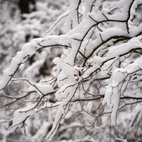 ANM: Se întorc ninsorile în țară. Un cod galben intră în vigoare în 12 județe ale țării, în weekend. Ploi și lapoviță în mai multe regiuni. Cum va fi vremea în Capitală | HARTĂ